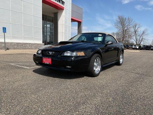 Black Clearcoat 2002 Ford Mustang GT