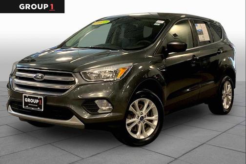 Magnetic 2017 Ford Escape SE