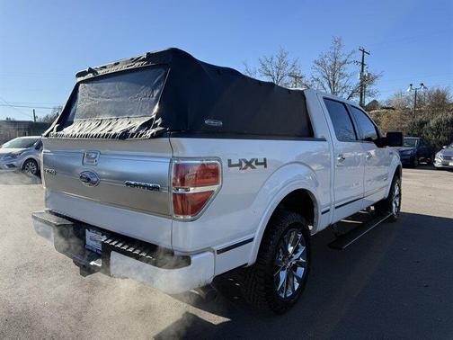 2013 Ford F-150 Platinum