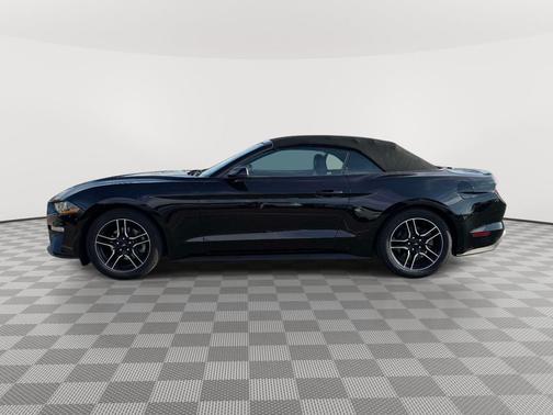 SHADOW BLACK 2022 Ford Mustang EcoBoost Premium