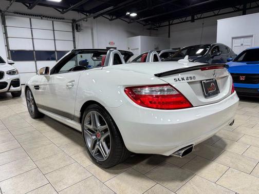 2013 Mercedes-Benz SLK-Class SLK 250