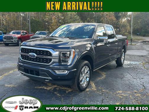 2022 Ford F-150 Platinum