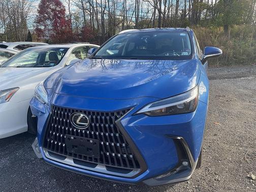 2025 Lexus NX 350h Premium