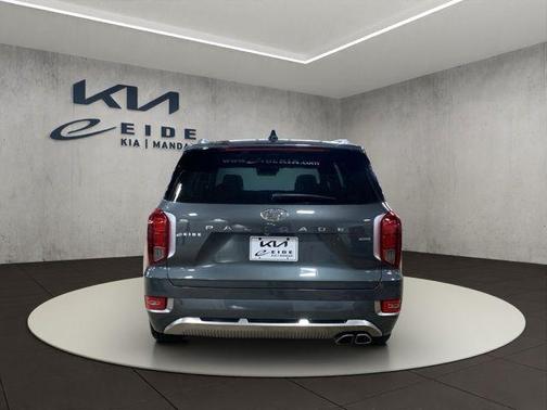 Rainforest 2022 Hyundai PALISADE Calligraphy