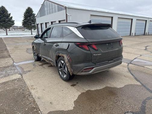 Rockwood Green 2025 Hyundai TUCSON SEL