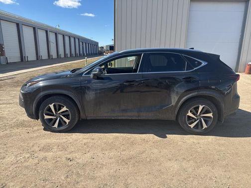 Caviar 2019 Lexus NX 300 Base