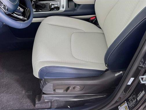 Panthera Metal 2026 Kia Carnival SX Prestige