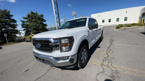 BLANC OXFORD 2023 Ford F-150 XLT