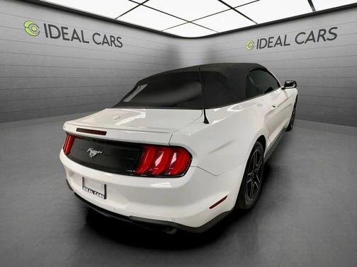 Oxford White 2019 Ford Mustang EcoBoost Premium