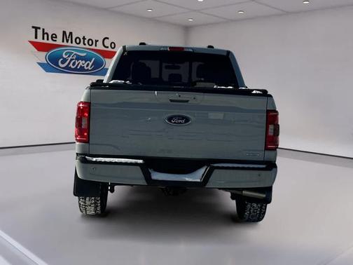 AVALANCHE 2023 Ford F-150 XLT