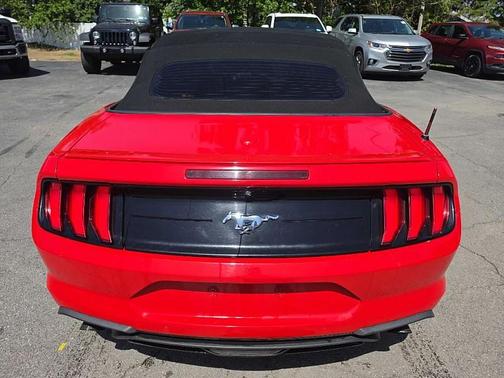 Red 2019 Ford Mustang EcoBoost Premium