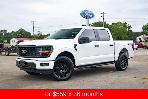 2025 Ford F-150 STX