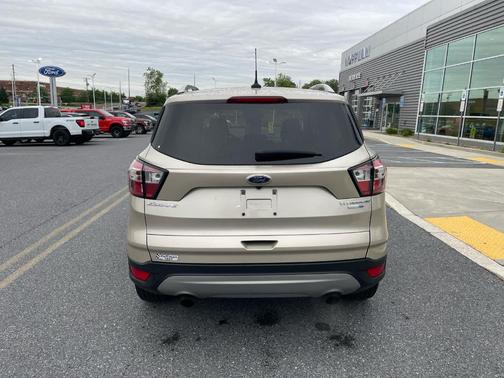 White Gold 2018 Ford Escape Titanium