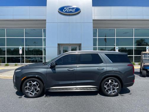Rainforest 2022 Hyundai PALISADE Calligraphy