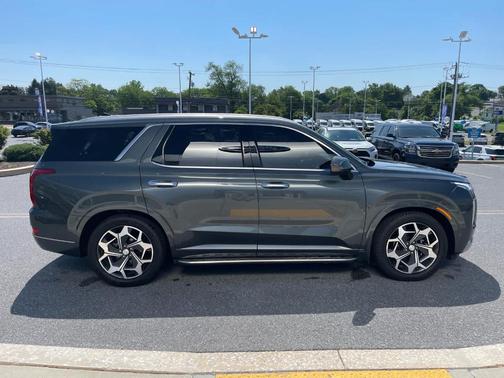 Rainforest 2022 Hyundai PALISADE Calligraphy