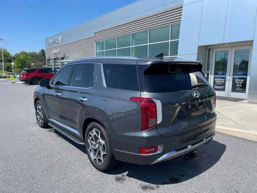 Rainforest 2022 Hyundai PALISADE Calligraphy