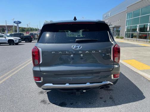 Rainforest 2022 Hyundai PALISADE Calligraphy
