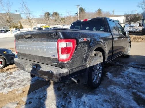 2021 Ford F-150 PLATINUM