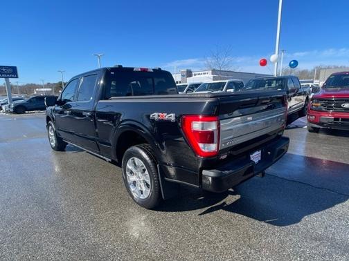 2021 Ford F-150 PLATINUM