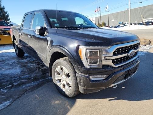 2021 Ford F-150 PLATINUM