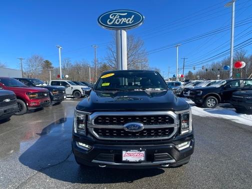 2021 Ford F-150 PLATINUM