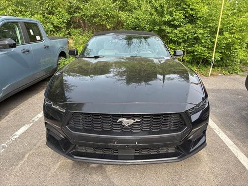 SHADOW BLACK 2024 Ford Mustang ECOBOOST PREMIUM