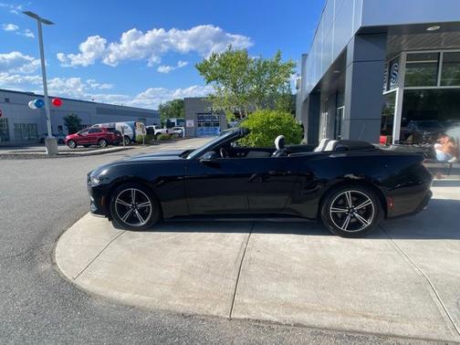 SHADOW BLACK 2024 Ford Mustang ECOBOOST PREMIUM