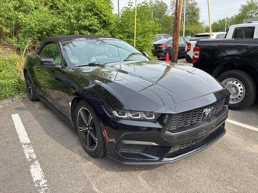 SHADOW BLACK 2024 Ford Mustang ECOBOOST PREMIUM