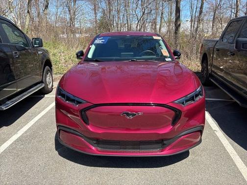 MOLTEN MAGENTA TINTED CC 2025 Ford Mustang Mach-E PREMIUM