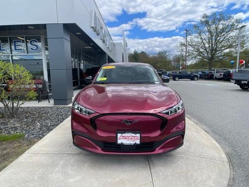 MOLTEN MAGENTA TINTED CC 2025 Ford Mustang Mach-E PREMIUM
