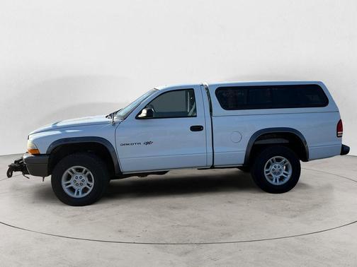 Bright White Clearcoat 2002 Dodge Dakota Base