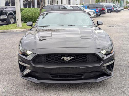 2019 Ford Mustang EcoBoost