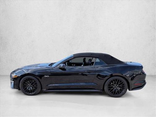 Shadow Black 2019 Ford Mustang GT Premium