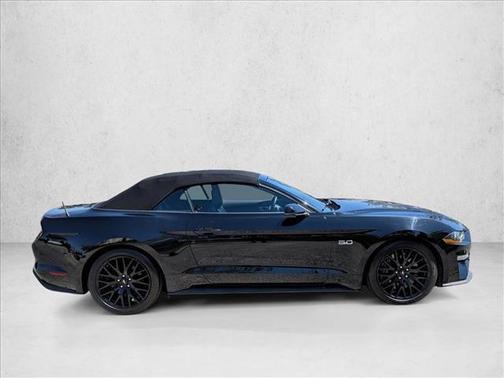 Shadow Black 2019 Ford Mustang GT Premium