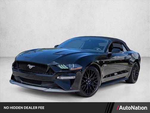Shadow Black 2019 Ford Mustang GT Premium