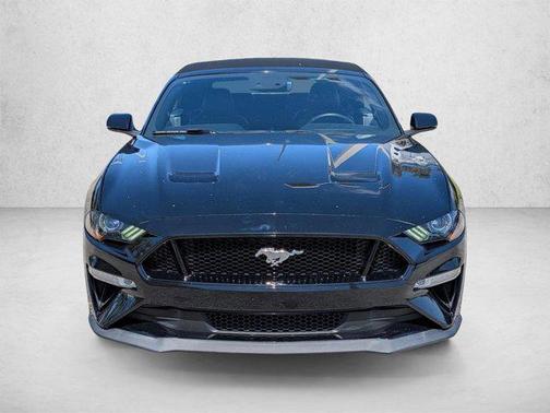Shadow Black 2019 Ford Mustang GT Premium