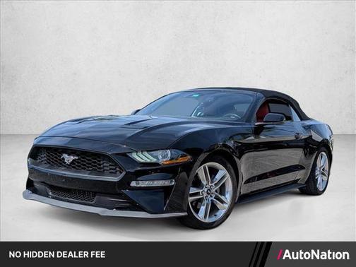Shadow Black 2019 Ford Mustang EcoBoost Premium