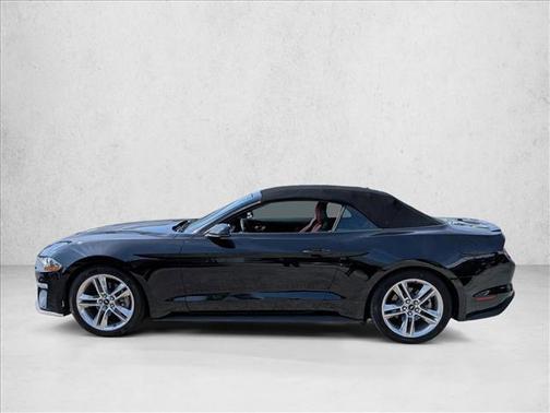Shadow Black 2019 Ford Mustang EcoBoost Premium