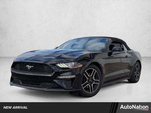 2019 Ford Mustang EcoBoost