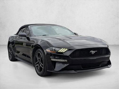 2019 Ford Mustang EcoBoost