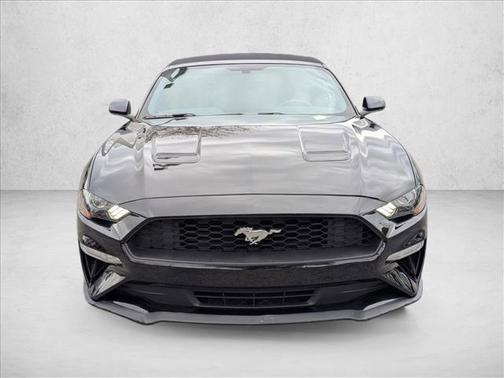 2019 Ford Mustang EcoBoost