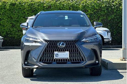 2025 Lexus NX 450h+ Luxury