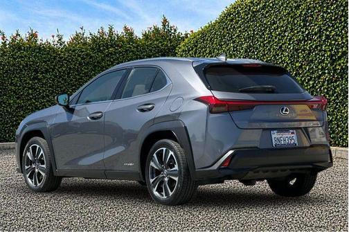 Gray Pearl 2019 Lexus UX 250h F Sport