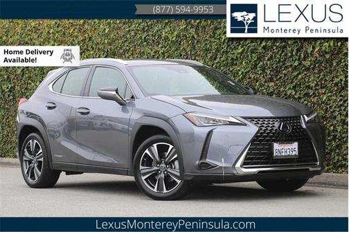 Gray Pearl 2019 Lexus UX 250h F Sport