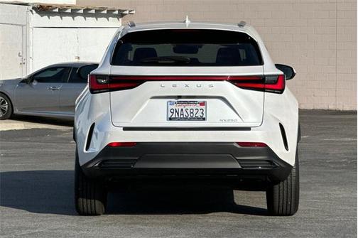 2025 Lexus NX 250 Base