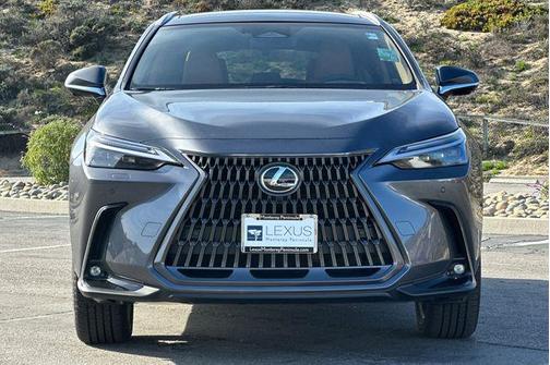 Cloudburst Gray 2026 Lexus NX 450h+ Luxury
