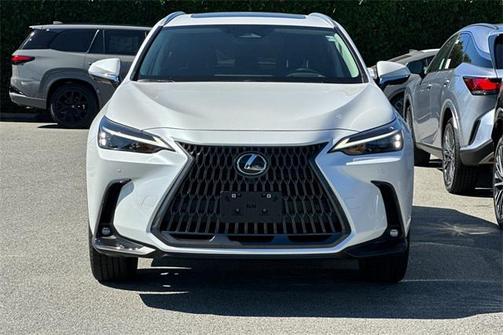 2025 Lexus NX 350h Premium