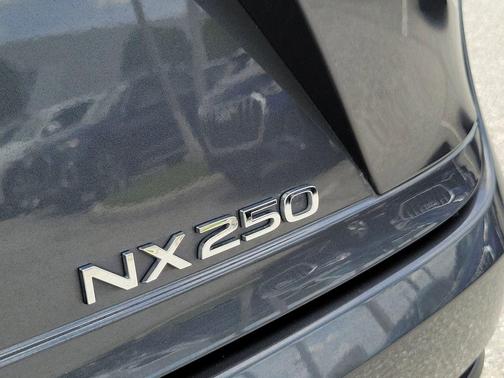 Cloudburst Gray 2024 Lexus NX 250 Base