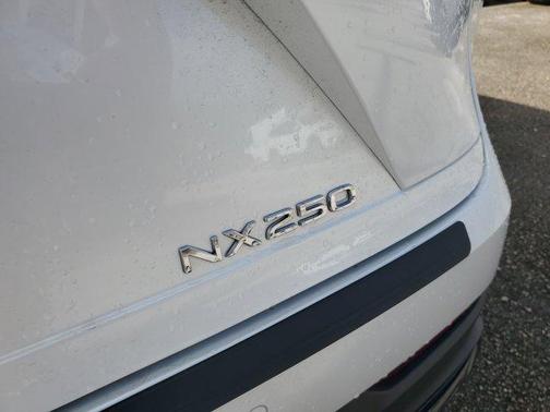 2024 Lexus NX 250 Premium