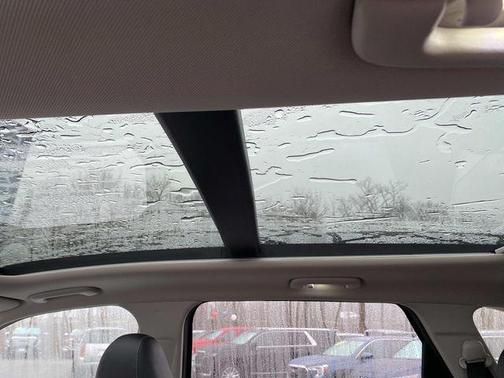 Aruba Green 2023 Kia Sorento X-Line EX